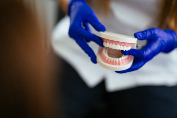 Best Traditional Braces  in Enosburg Falls, VT
